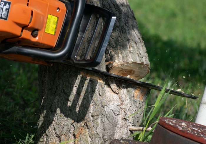 Herbicide Tordon L'herbicide Tordon vous convient-il ?