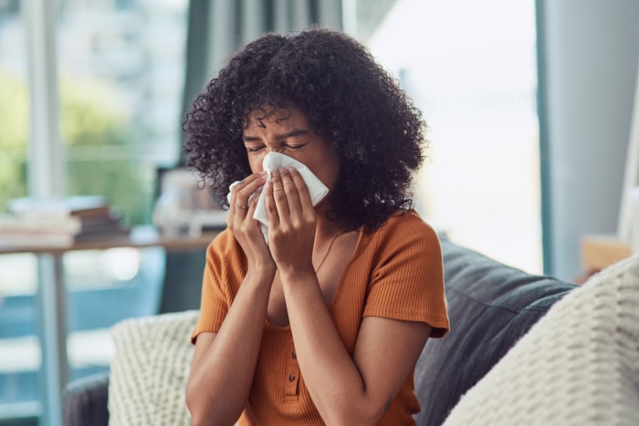 refroidisseur à évaporation vs climatiseur