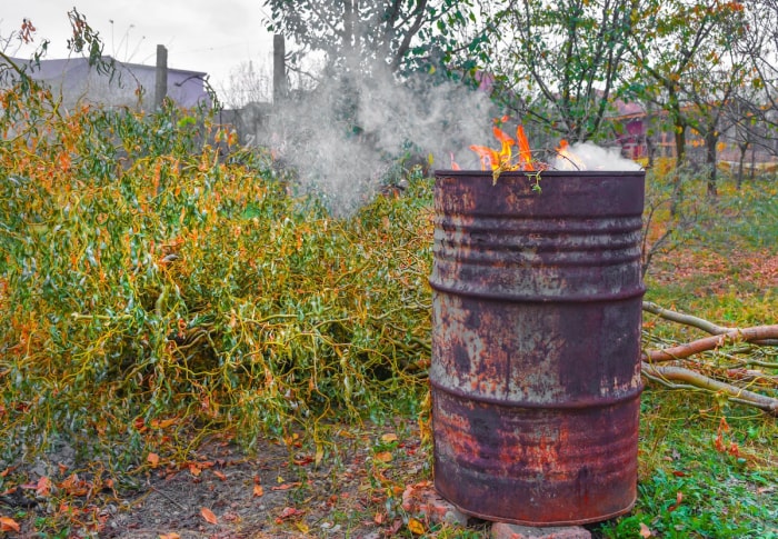 Brûler des feuilles et des branches d'automne dans un tonneau de combustion en métal.