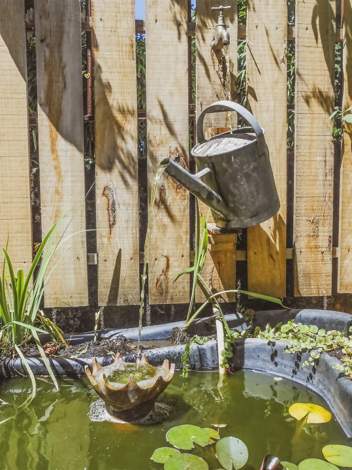 L'eau s'écoule d'un arrosoir monté dans une fontaine dans une cour arrière.