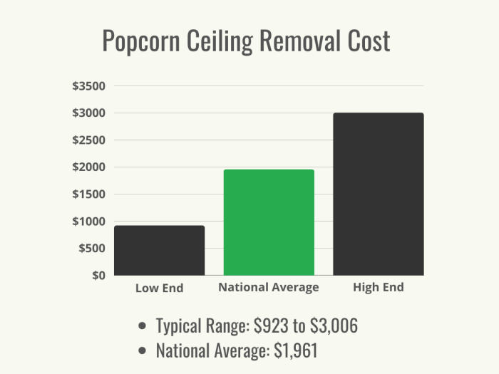 Visuel 1 - HomeAdvisor - Coût de l'enlèvement du plafond en pop-corn - mars 2024