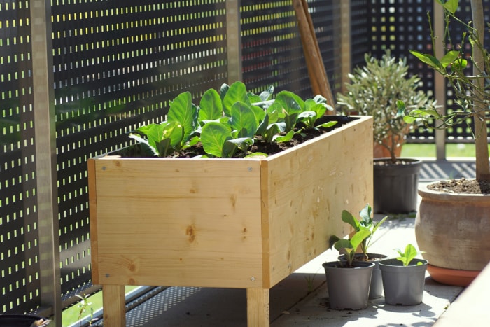 Comment éloigner les animaux du jardin