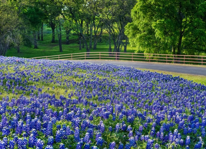 20 endroits à voir absolument si vous aimez les plantes