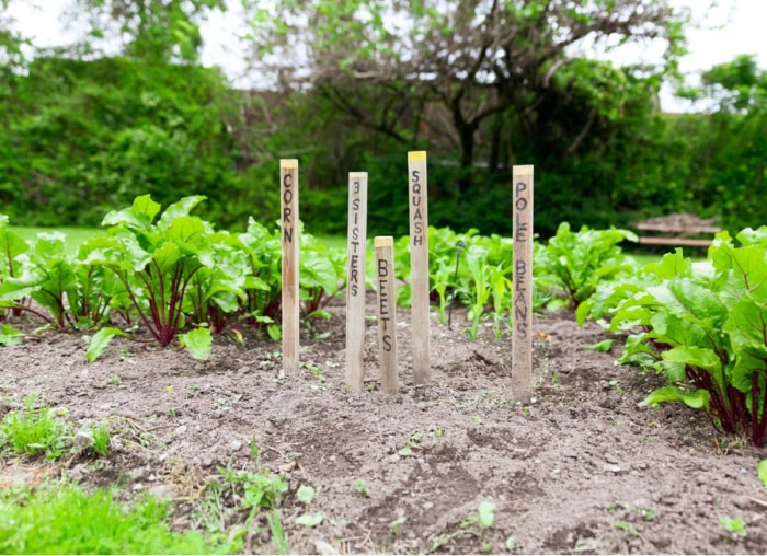 8 jardins thématiques pour vous inspirer cet été