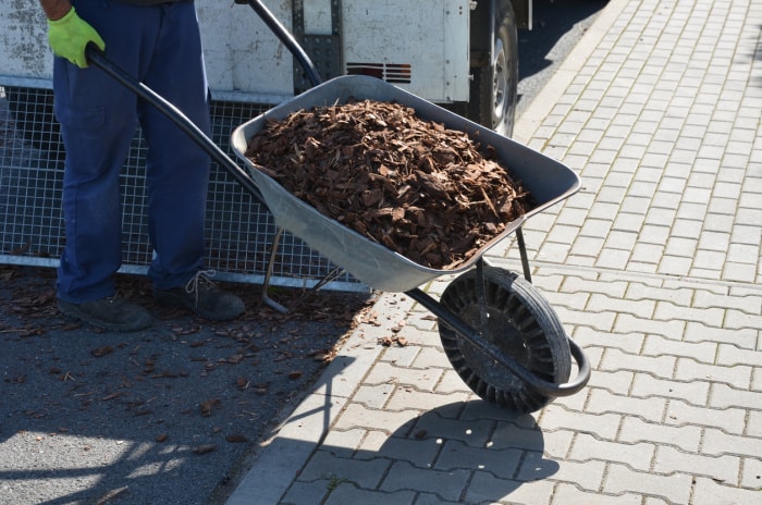 iStock-1347180754 économiser de l'argent jardinage Chargement torture copeaux de bois écorce sur une brouette avec une pelle d'une voiture