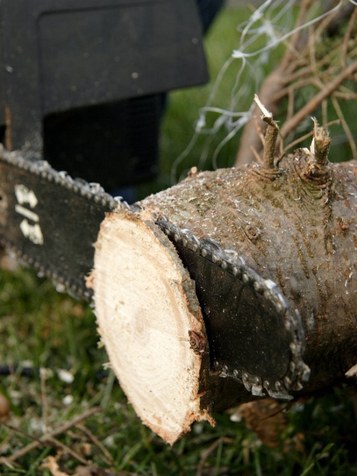 Comment faire durer votre sapin de Noël toute la saison