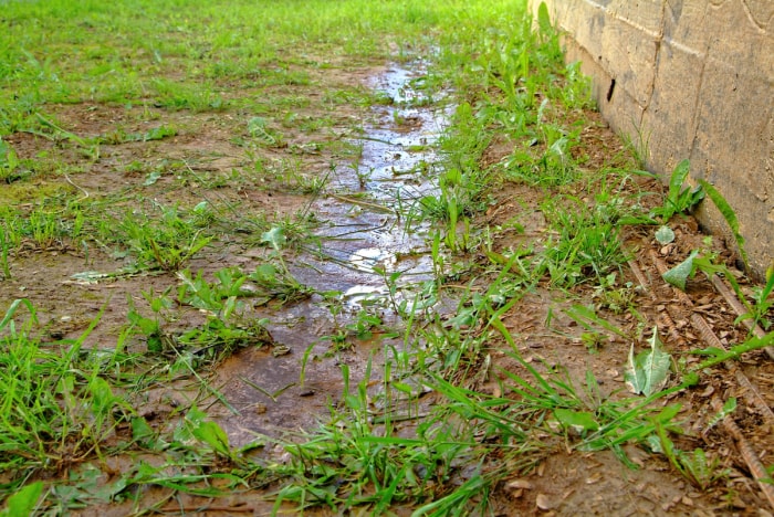 Une flaque d'eau dans la pelouse borde le bord extérieur d'une maison.