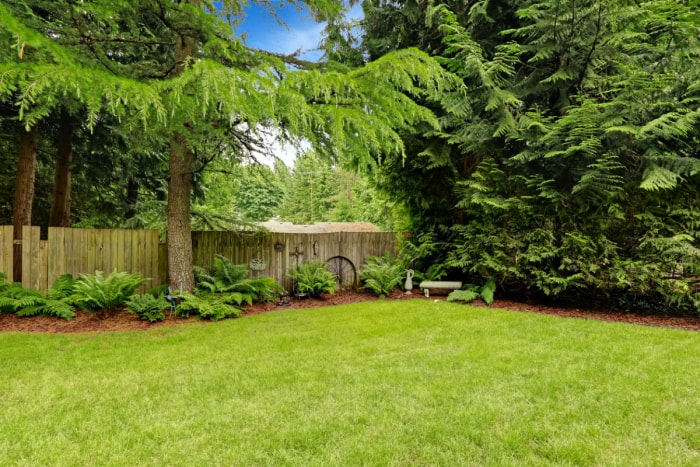 Jardin vert avec clôture en bois