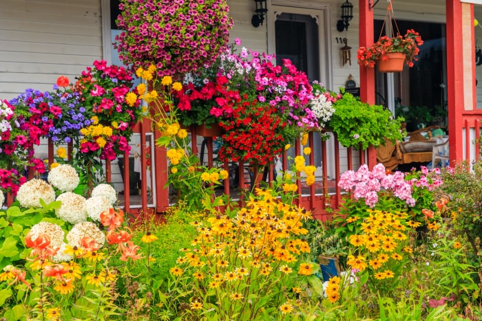 Jardin coloré avec des fleurs rouges, jaunes et roses à l'extérieur de la façade d'une maison blanche.