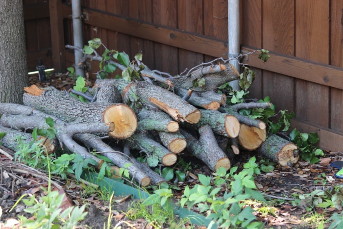 Tas de bois dans la cour