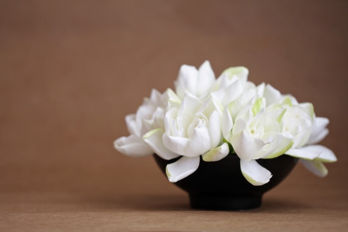 Grandes fleurs blanches dans un vase noir