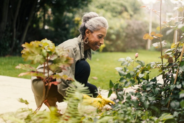 10 tâches de jardinage de saison que vous devriez faire chaque semaine