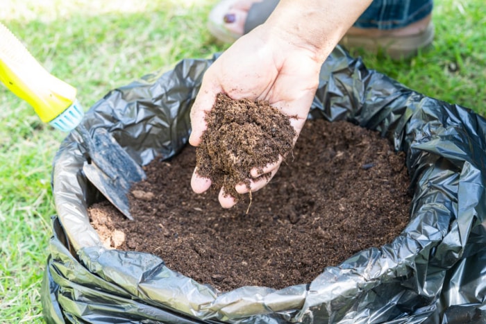 Le meilleur compost en sac