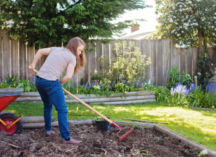 7 choses à savoir pour cultiver un jardin de fleurs sauvages