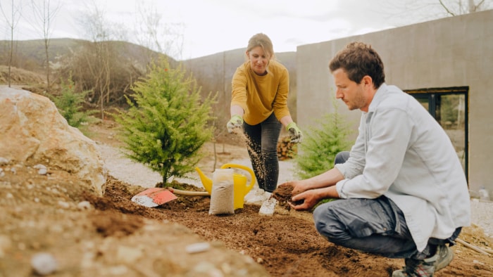 Un jeune couple portant des vêtements appropriés pour l'extérieur et semant de l'herbe dans la cour d'une maison moderne.