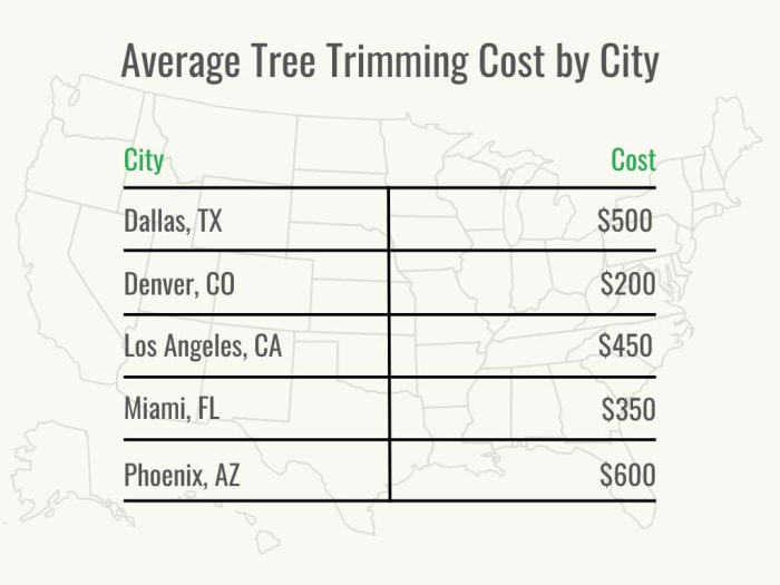 Un graphique noir et vert montrant le coût de l'élagage des arbres dans différentes villes américaines.