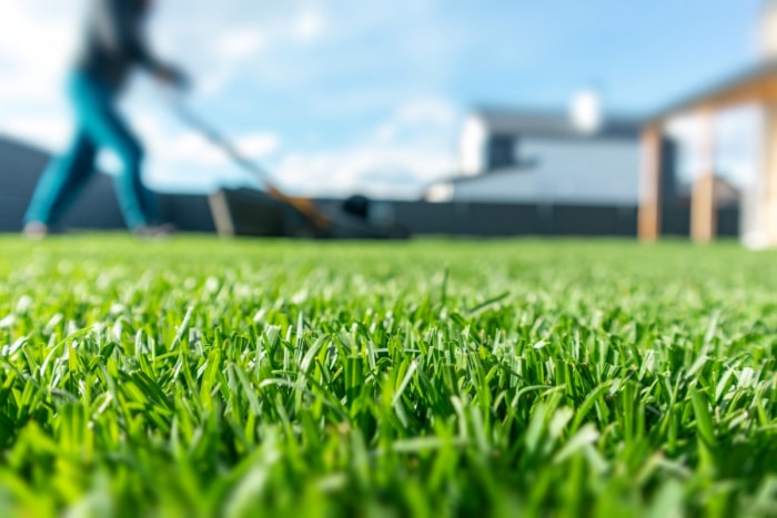 De l'herbe bien coupée