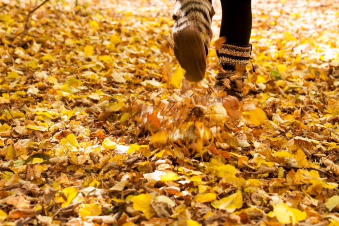 Personne piétinant des feuilles sèches