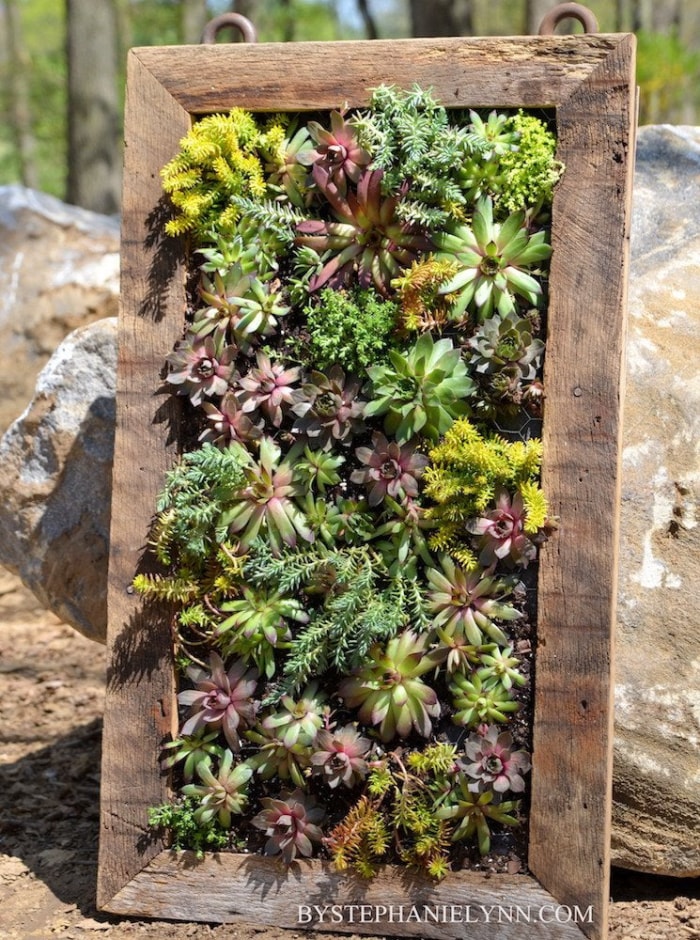 Grandir : 14 jardins verticaux créatifs à réaliser soi-même