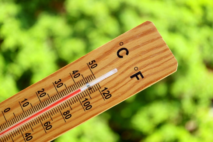 jardin d'été plus chaud que la moyenne