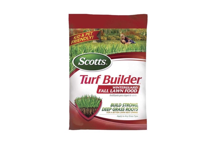 Option d'entretien de pelouse d'automne Ace Hardware Scotts Turf Builder WinterGuard Fall Lawn Food