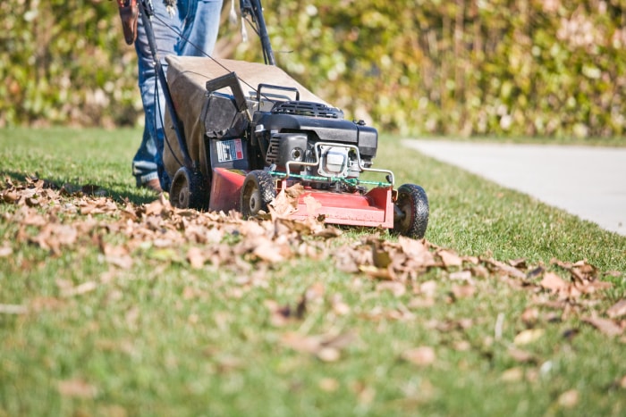 Une personne portant un jean passe une tondeuse à gazon sur une cour couverte de feuilles.