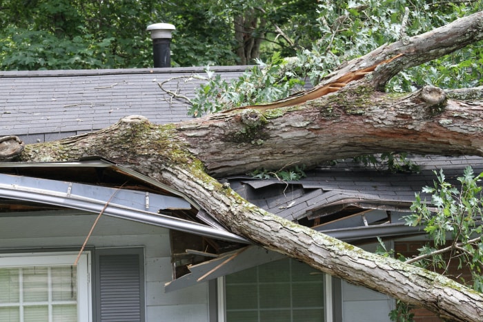 un arbre tombe sur une maison