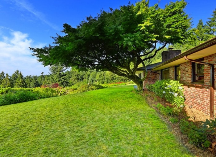 14 façons de faire paraître votre petit jardin plus grand