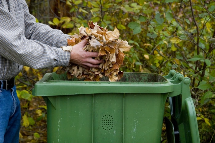 terreau de feuilles