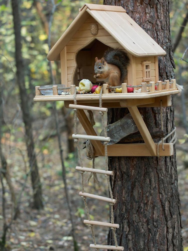 13 idées de mangeoires à écureuils à faire soi-même pour votre jardin