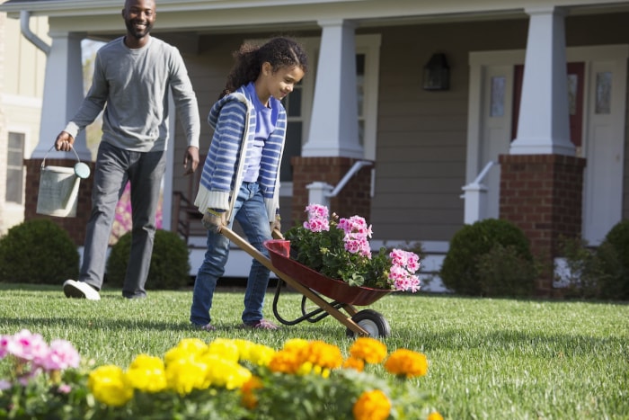 Un père et sa fille travaillent dans le jardin devant la maison à l'aide d'une brouette transportant des fleurs. 