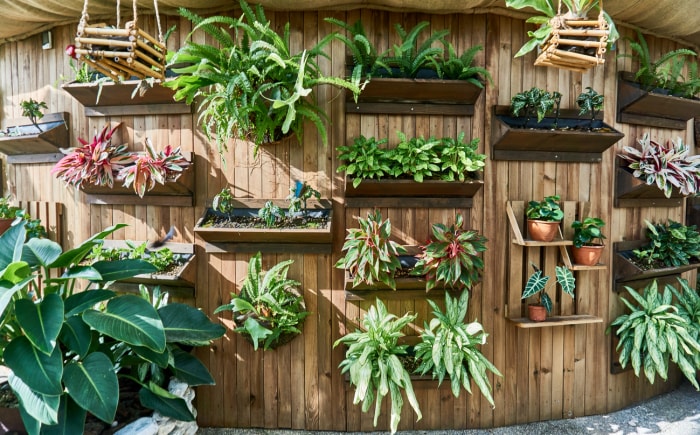 mur en bois arrondi de panneaux verticaux avec des jardinières pleines de plantes vertes montées