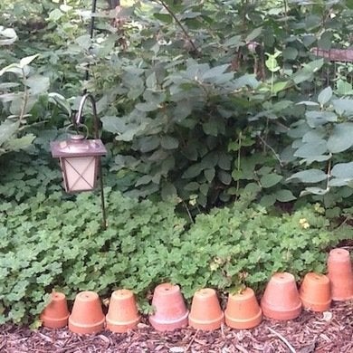 À la limite : 16 bordures de jardin à réaliser