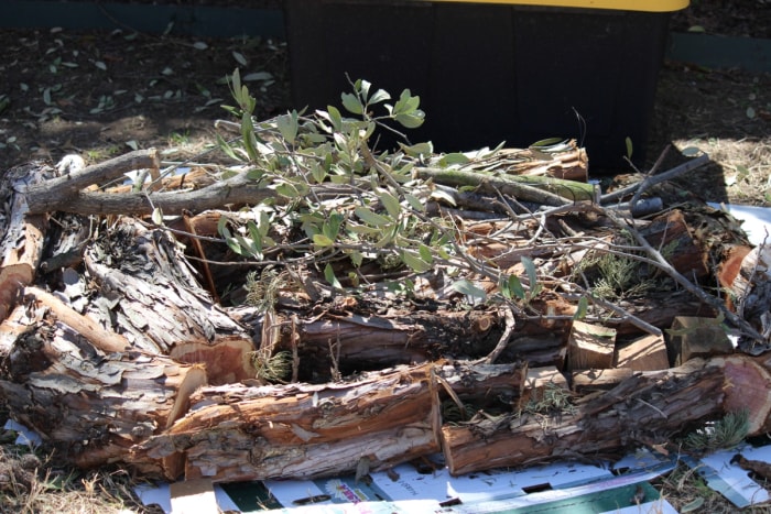 Lit de jardin Hugelkultur avec bûches de bois