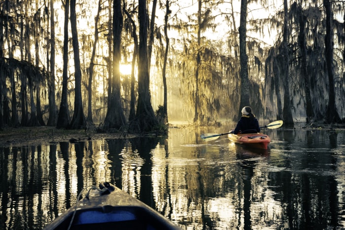 deux personnes faisant du kayak dans un bayou en Louisiane