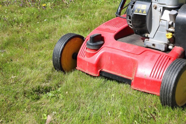 Un scarificateur rouge dans l'herbe verte.