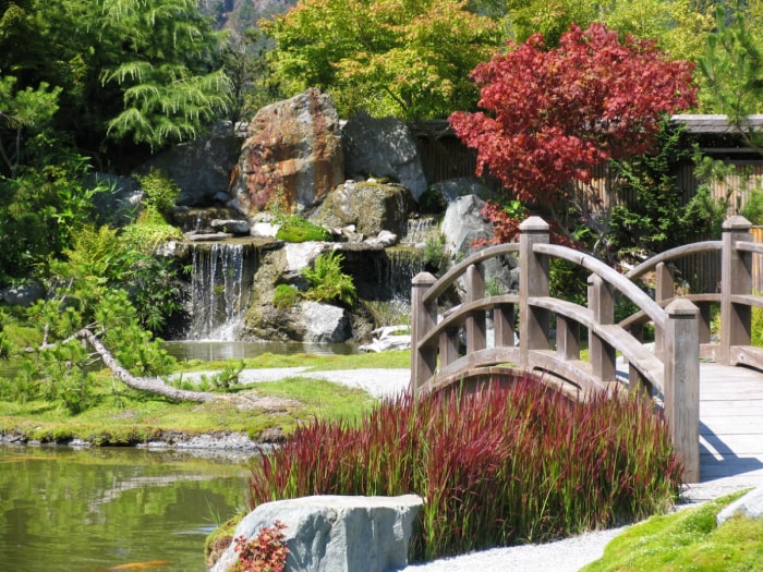 idées de jardin zen - jardin japonais avec étang et pont