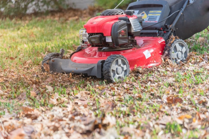 Tondeuse à gazon utilisée pour broyer les feuilles