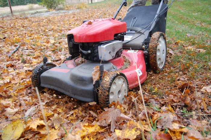 Tonte avec une tondeuse à gazon sur une pelouse avec des feuilles d'automne.