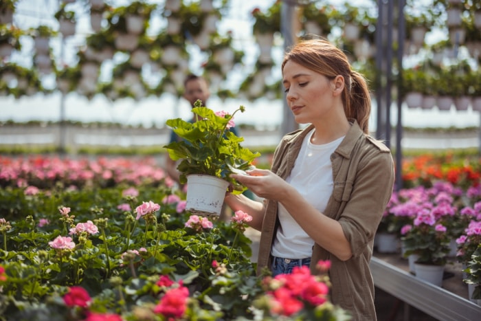 Une femme achète des fleurs à la pépinière.