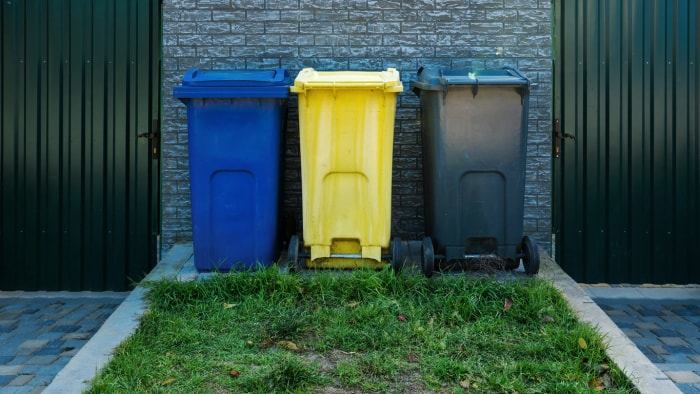 Des poubelles en plastique bleues, jaunes et grises sont alignées dans l'arrière-cour