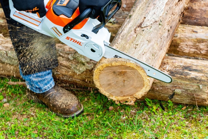 Une personne utilisant la meilleure option de tronçonneuse à batterie pour couper l'extrémité d'un arbre abattu