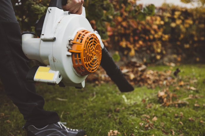 Jardinier utilisant un souffleur de feuilles pour nettoyer le jardin des feuilles d'automne croustillantes.