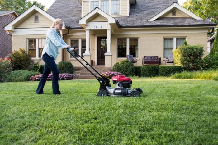 Les meilleures options de tondeuses à gazon à essence