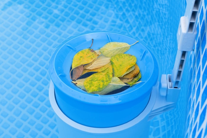 Feuilles jaunes dans le skimmer de la piscine