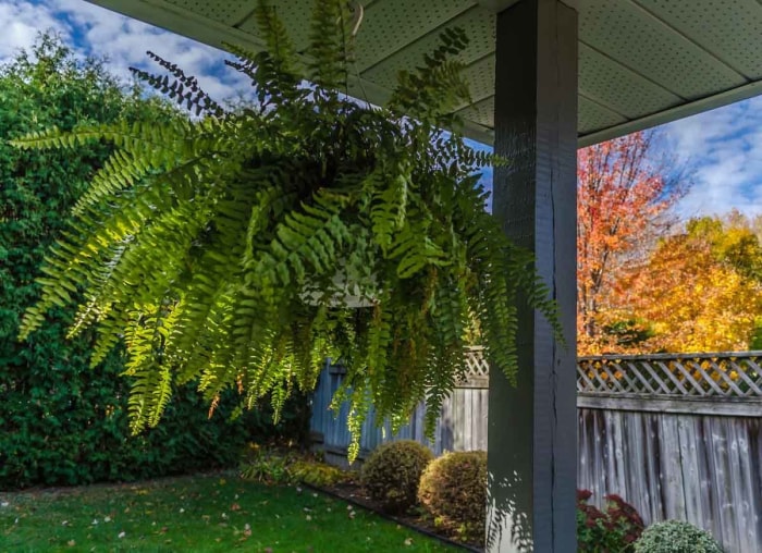 14 façons de faire paraître votre petit jardin plus grand