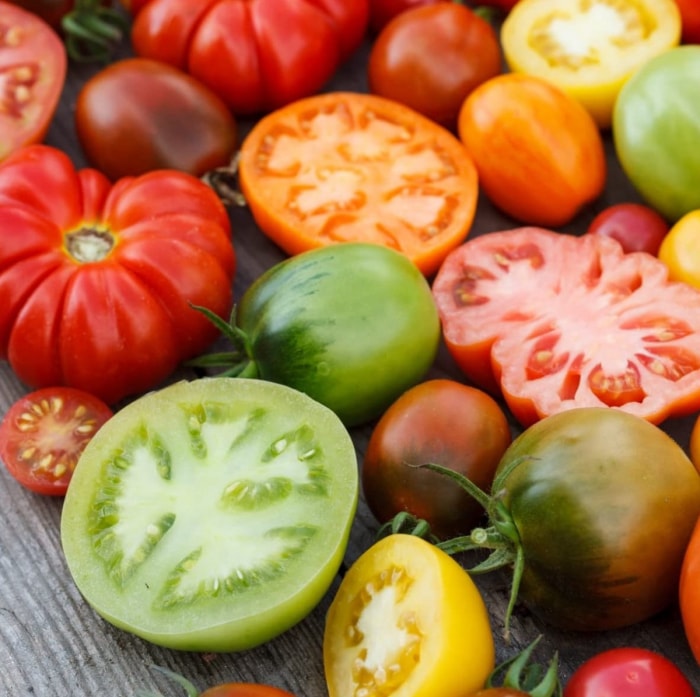 types de tomates - variété de tomates de différentes couleurs