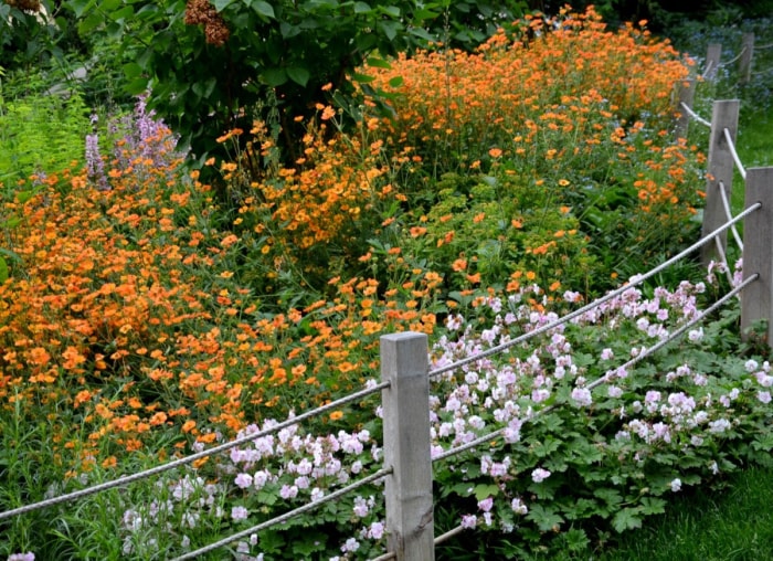 11 idées de clôtures de jardin qui complèteront n'importe quel paysage