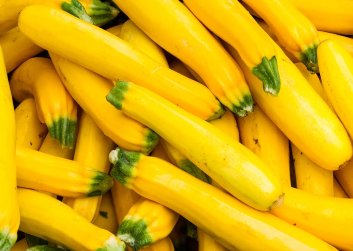 types de courges