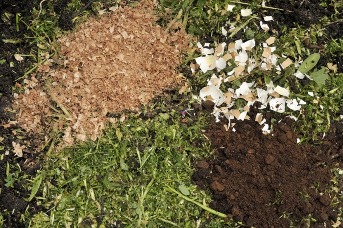 Recyclage des déchets verts déchiquetés du jardin, des copeaux de bois et des déchets ménagers de cuisine, des coquilles d'œufs et du marc de café usagé sur un tas de compost de jardin.